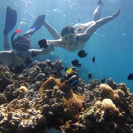 La Bella Guest House Pemuteran Dış mekan fotoğraf